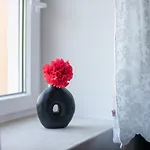 Ioulia\'S Home